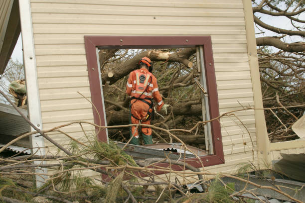 Best Tree Health Inspection  in York, SC